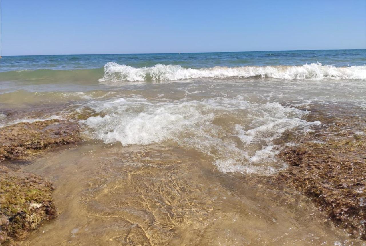 Eldorado Apartment La Mata Ла-Мата Екстер'єр фото